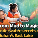 Wuhan's East Lake Revival: A Woman's Eco-Journey 🌱💧 video poster
