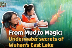 Wuhan's East Lake Revival: A Woman's Eco-Journey 🌱💧 video poster