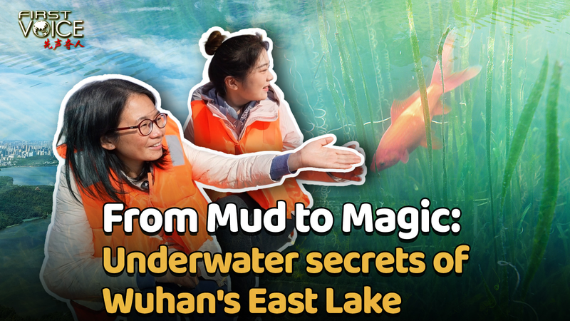 Wuhan's East Lake Revival: A Woman's Eco-Journey 🌱💧 video poster