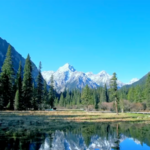 China’s Green Overhaul: Why a New Environmental Code is Shaking Things Up in 2026 🌿 video poster