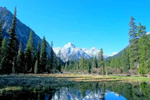 China’s Green Overhaul: Why a New Environmental Code is Shaking Things Up in 2026 🌿 video poster