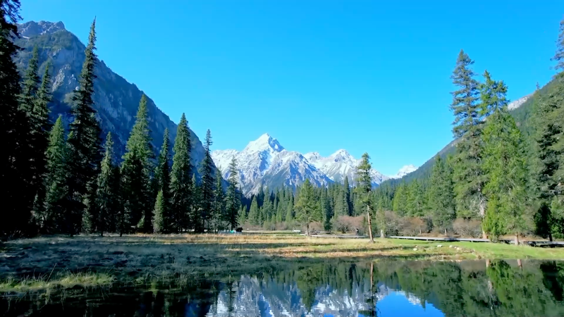 URCVXOJDDU5SRKIMMGI1 - 🌍NewspaperAmigo – Your Global News Buddy 🗞️ China’s Green Overhaul: Why a New Environmental Code is Shaking Things Up in 2026 🌿 video poster