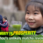 From Poverty to Matcha Power: Guizhou’s Green Gold Rush 🌱✨ video poster