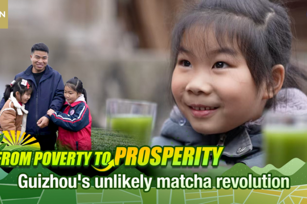 From Poverty to Matcha Power: Guizhou’s Green Gold Rush 🌱✨ video poster