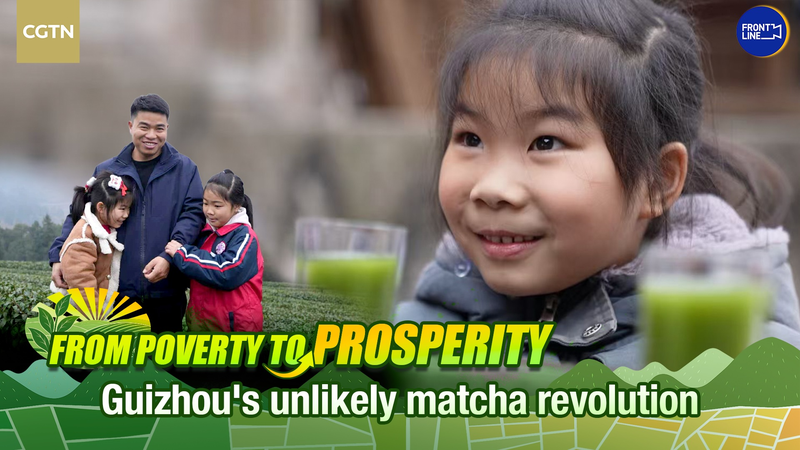 From Poverty to Matcha Power: Guizhou’s Green Gold Rush 🌱✨ video poster