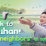 Wuhan Welcomes Feathered 'Neighbors' as Wetland Protection Soars 🦆🌿 video poster