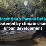 Paraná Delta in Peril: Climate Change & Development Threaten Vital Ecosystem 🌱💧 video poster