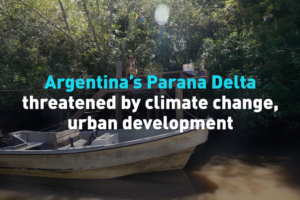 Paraná Delta in Peril: Climate Change & Development Threaten Vital Ecosystem 🌱💧 video poster