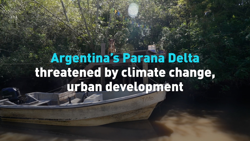 VDAAGASDXV2IKDTOU8K3 - 🌍NewspaperAmigo – Your Global News Buddy 🗞️ Paraná Delta in Peril: Climate Change & Development Threaten Vital Ecosystem 🌱💧 video poster