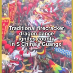 Dragon Fire & Firecrackers Light Up Guangxi’s Paolong Festival 🐉🎇 video poster