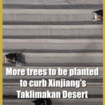 Xinjiang's 'Green Scarf' Expands to Fight Desert 🌱💪 Xinjiang's 'Green Scarf' Expands to Fight Desert 🌱💪 video poster