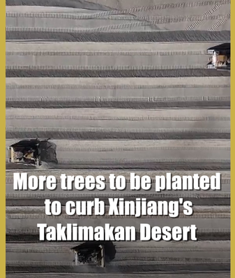 Xinjiang's 'Green Scarf' Expands to Fight Desert 🌱💪 video poster