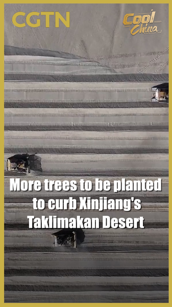 Xinjiang's 'Green Scarf' Expands to Fight Desert 🌱💪 video poster