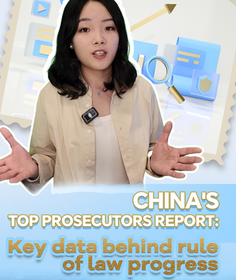 China's 2025 Rule of Law Report Reveals Crime Trends & Digital Age Shifts 🌐⚖️ video poster