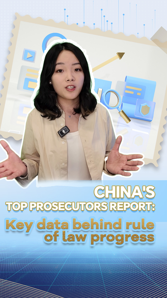 China's 2025 Rule of Law Report Reveals Crime Trends & Digital Age Shifts 🌐⚖️ video poster