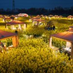 WMW8GJVIZTRGLG0JCXE5 - 🌍NewspaperAmigo – Your Global News Buddy 🗞️ China’s ‘Flower Economy’ Blooms in 2026 🌸🍲✨