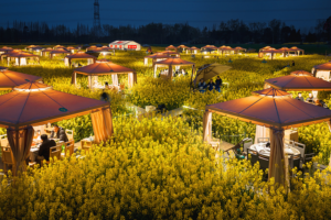 China’s ‘Flower Economy’ Blooms in 2026 🌸🍲✨