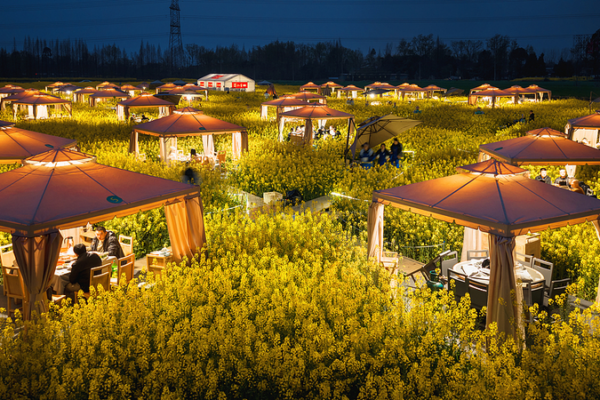 China’s ‘Flower Economy’ Blooms in 2026 🌸🍲✨