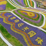 Building a Shared Future: China's Vision for Global Unity 🌍✨