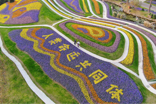 Building a Shared Future: China's Vision for Global Unity 🌍✨