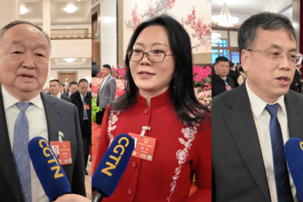 NPC Deputies Highlight Innovation & Equity in 2026 Policy Roadmap 🚀 video poster