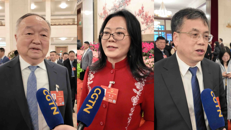 NPC Deputies Highlight Innovation & Equity in 2026 Policy Roadmap 🚀 video poster