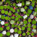 XEXAKWWAAUHYFO6WX1GX - 🌍NewspaperAmigo – Your Global News Buddy 🗞️ Ya'an Spring Tea Rush: A Vibrant Dance of Tradition & Trade 🌱✨