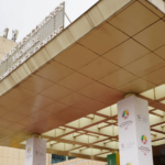 China, Africa Forge Industrial Ties at WTO Meeting 🌍🏗️ video poster