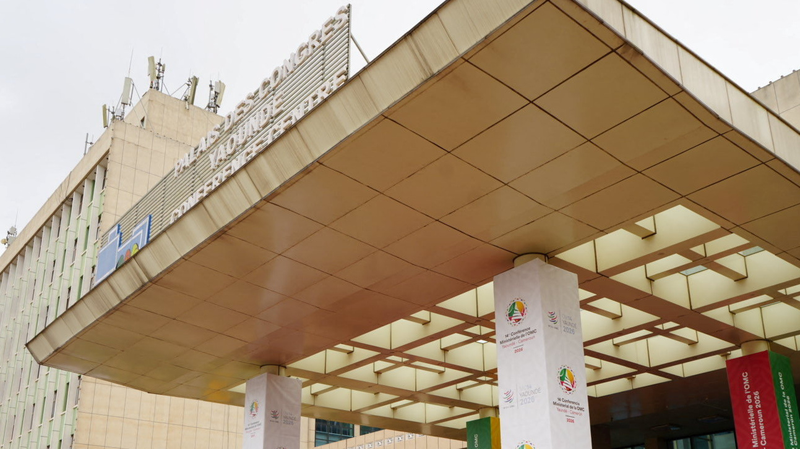 China, Africa Forge Industrial Ties at WTO Meeting 🌍🏗️ video poster