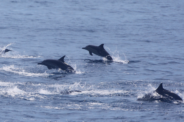 China Pledges New Era in Global Ocean Governance 🌊