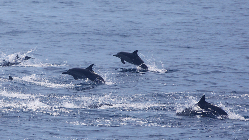 China Pledges New Era in Global Ocean Governance 🌊