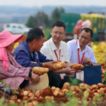 Xi_Jinping_Stresses_Governance_Priorities_in_New_Article - 🌍NewspaperAmigo – Your Global News Buddy 🗞️ Xi_Jinping_Stresses_Governance_Priorities_in_New_Article