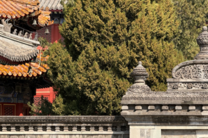 Wanshou Temple: Beijing's Hidden East-West Fusion Gem 🏯🌍
