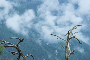 Wuxu Lake: China’s Serene Film Location Goes Viral in 2026 🌊🎬 video poster