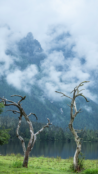 Wuxu Lake: China’s Serene Film Location Goes Viral in 2026 🌊🎬 video poster
