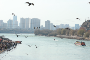 Spring Splendor: Yellow River Comes Alive in Gansu 🌸🦆 video poster