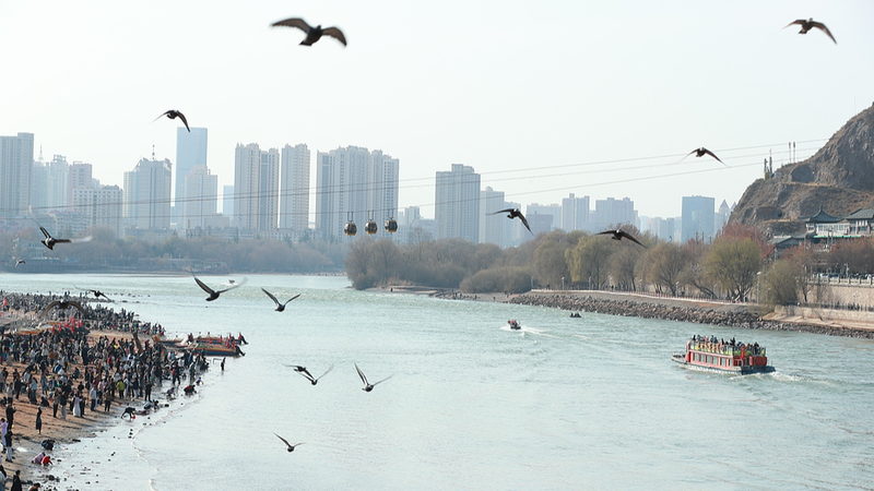 Spring Splendor: Yellow River Comes Alive in Gansu 🌸🦆 video poster