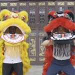 From Namibia to Shunde: A Lion Dance Adventure 🦁✨ video poster