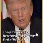 Trump Slams Allies Over Strait of Hormuz Standoff 🚢⚡ video poster