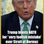 Trump Slams NATO Over Strait of Hormuz Stance 🌍⛽ video poster
