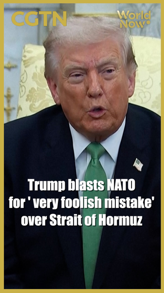 Trump Slams NATO Over Strait of Hormuz Stance 🌍⛽ video poster
