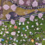 ZJHY3EZBOBET4857YJ90 - 🌍NewspaperAmigo – Your Global News Buddy 🗞️ Pink Paradise: Zhongxi Cherry Blossoms Draw Spring Crowds 🌸