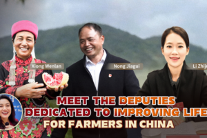 Meet China’s Rural Changemakers: Stories from the Grassroots 🌾👩🌾 video poster