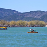 🌸 Spring Blooms Paint Beijing’s Summer Palace in Pink & Green 🌿 🌸 Spring Blooms Paint Beijing’s Summer Palace in Pink & Green 🌿
