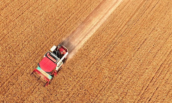 Energy Crisis Sparks Global Food Security Fears in 2026 🌍🚨 video poster