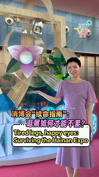 Hainan Expo 2026: Surviving the Ultimate Shopping Marathon 🛍️👟 video poster
