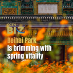 Spring Blooms Paint Beihai Park in Vibrant Hues 🌸🏯 video poster