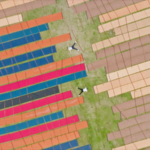 Shunde’s Waterways: Where Tradition Meets Global Hustle 🌊✨ video poster