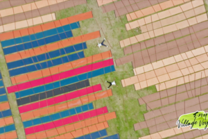 Shunde’s Waterways: Where Tradition Meets Global Hustle 🌊✨ video poster