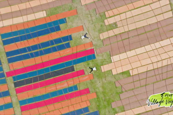 Shunde’s Waterways: Where Tradition Meets Global Hustle 🌊✨ video poster